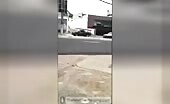 Public pooping in broad daylight