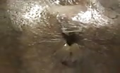 Yellow turd in close up  video