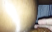 Huge turd on bed